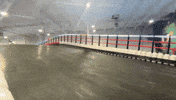 Puerto Rico Racing GIF