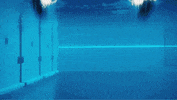 aquacats GIF by Disney XD By Maker