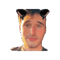 Cat Wow Sticker