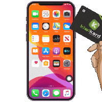 kiwikard rangertrooper ranger trooper kiwikard kiwi kard Sticker