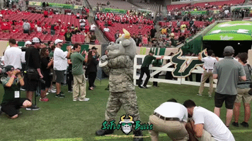 usf football GIF