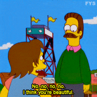 ned flanders fox GIF