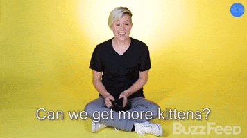 More Kittens