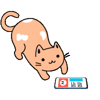 Cat Love Sticker by Motorola México