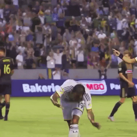 lavphi GIF by LA Galaxy
