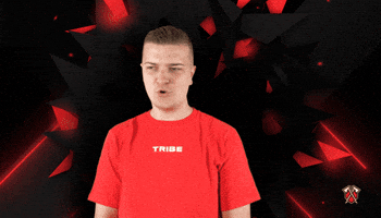 Yelling Lets Go GIF by Tribe Gaming