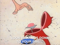 ren and stimpy nicksplat GIF