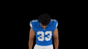 Running Back Michigan GIF by Detroit Lions