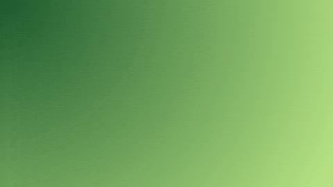 Miss Grand Luciana Fuster GIF