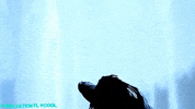 ConsistentlyCoolProductions dance blue water black woman GIF