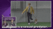Dog Show GIF by Saturday Night Live