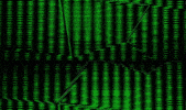 Screen GIF