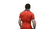 Leones Xv Del Leon Sticker by FERugby