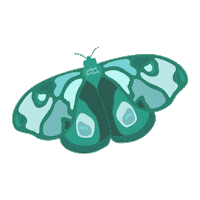 leavesandcloudsshop green lc vert papillon Sticker