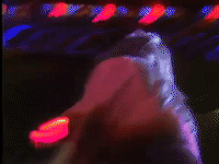 journey lovin touchin squeezin GIF
