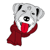 Dog College Sticker by Colgate University