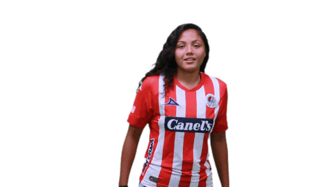 San Luis Soccer Sticker by Atlético de San Luis