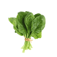 Hund Sticker by HelloBello Frischfutter