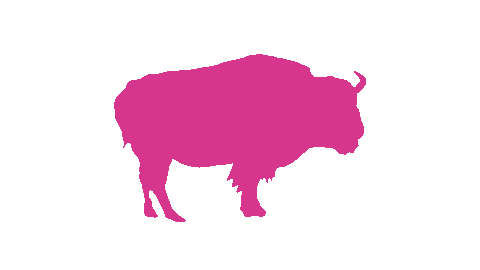 Production Company Film Sticker by Pink Buffalo Films