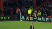 Football Soccer GIF by AFC Bournemouth