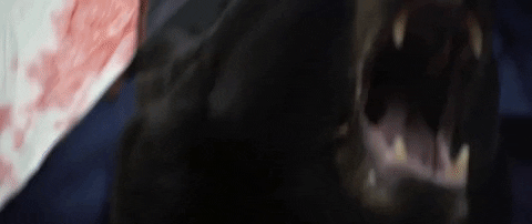 medialifecrisis giphyupload medialifecrisis movie loops backcountry GIF