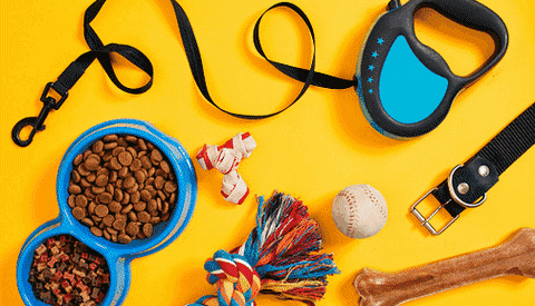 Alimam356 giphyupload what is the best device to train a dog GIF