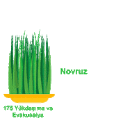 Novruz Bayrami Sticker by 175_FoxExpres