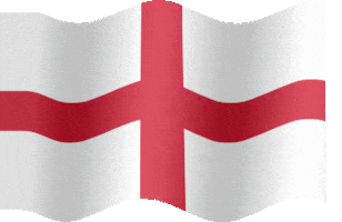 Three Lions Football GIF