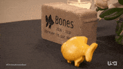 chrisleyknowsbest television usa usa network chrisley GIF