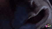 GIF by Vidiots