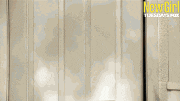 new girl GIF by Fox TV