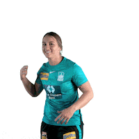 Cricket Happy Dance Sticker by Brisbane Heat