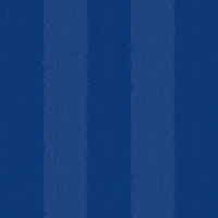 Football Scoring GIF by Odense Boldklub