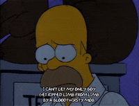 Season 1 GIF by The Simpsons