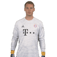 Champions League Football Sticker by FC Bayern Munich