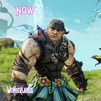 GIF by Tiny Tina's Wonderlands