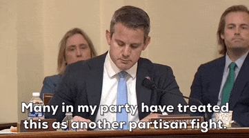 January 6 GIF by GIPHY News