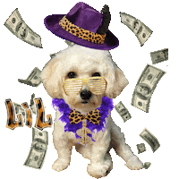 Dog Sticker by Pimp Yo Pets