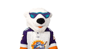 Polar Bear Hockey Sticker by Orlando Solar Bears