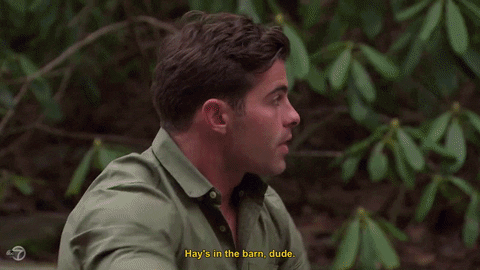 the bachelorette alex GIF