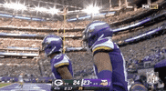 Minnesota Vikings Football GIF by NFL