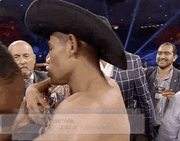 toprank fight fighting espn fighters GIF