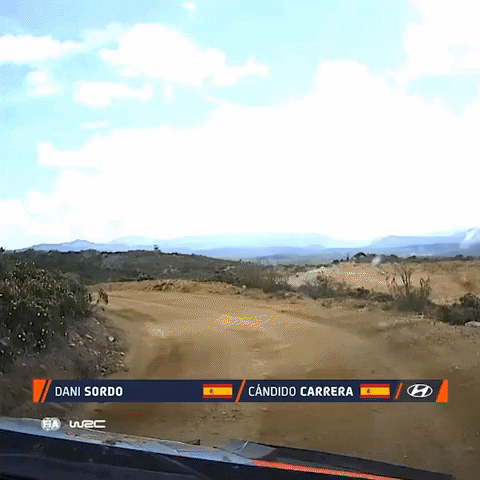 Sport Fail GIF by FIA World Rally Championship