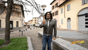 4Ristoranti Maxgiusti GIF by Tv8it