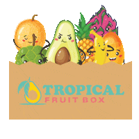 newtropicalfruitbox fruit box tropical fruit tropical fruit box tropicalfruitbox Sticker