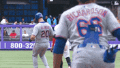 Polar Bear Celebration GIF by New York Mets