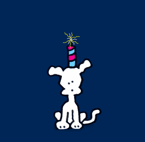 chippythedog giphyupload love dogs independence day GIF