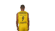Ewe Baskets Basketball Sticker by EWE Baskets Oldenburg