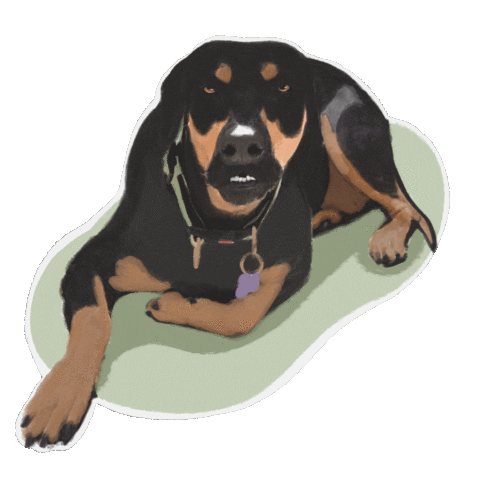 Dibujo No Sticker