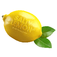 salty-lemon saltylemon Sticker